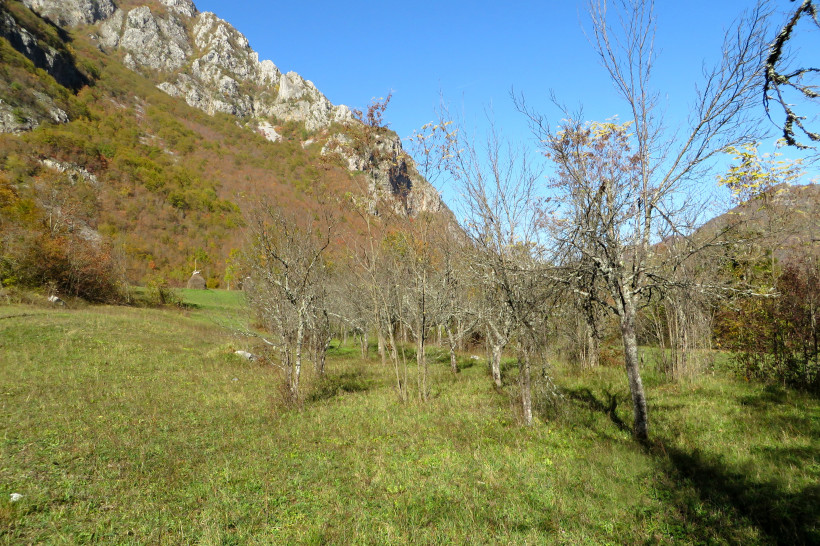 Permakultur-Projekt in Bosnien; 2. Zwetschgen-Bäume beschneiden, Hügelbeete anlegen